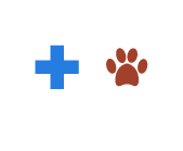 www.diapolomedical.eu