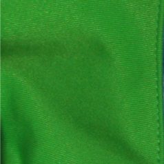 FACE MASK, SINGLE COLOR KELLY GREEN